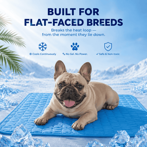 ChillNest™ Cooling Mat - For French Bulldogs, Pugs & Flat-Faced Breeds