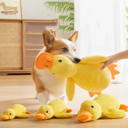 QuackNest™ Comfort Duck